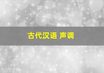 古代汉语 声调